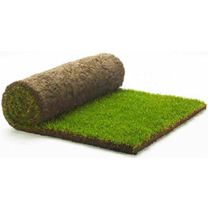 Lawnscape turf